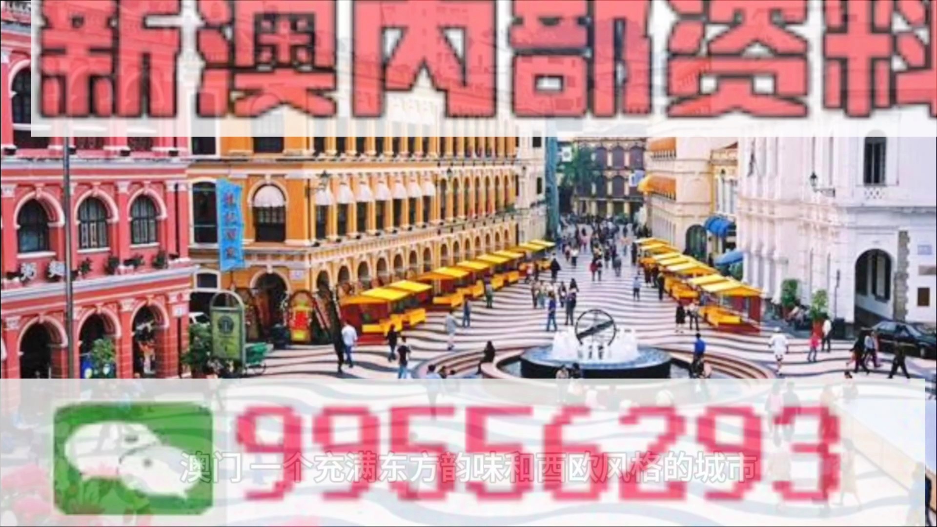 新澳門免費(fèi)資料大全新牌門，澳門新牌門資料大揭秘，全新免費(fèi)資料一網(wǎng)打盡