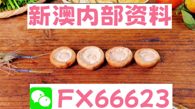新澳正版資料免費提供，新澳正版資料免費分享
