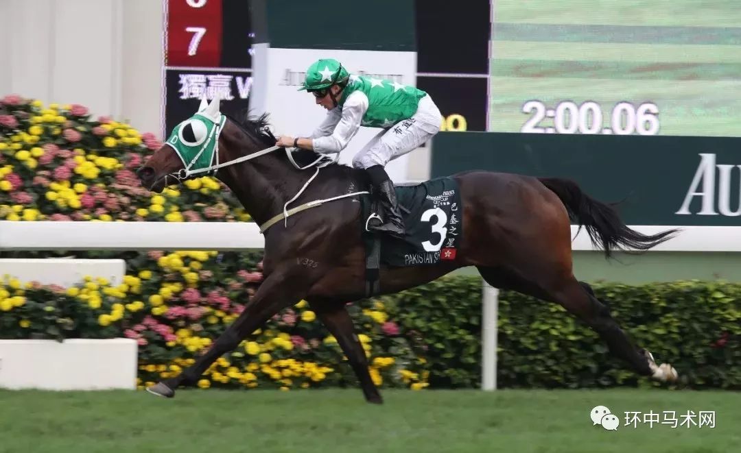探索香港今晚特馬開彩的神秘面紗，香港今晚特馬開彩的神秘面紗揭曉