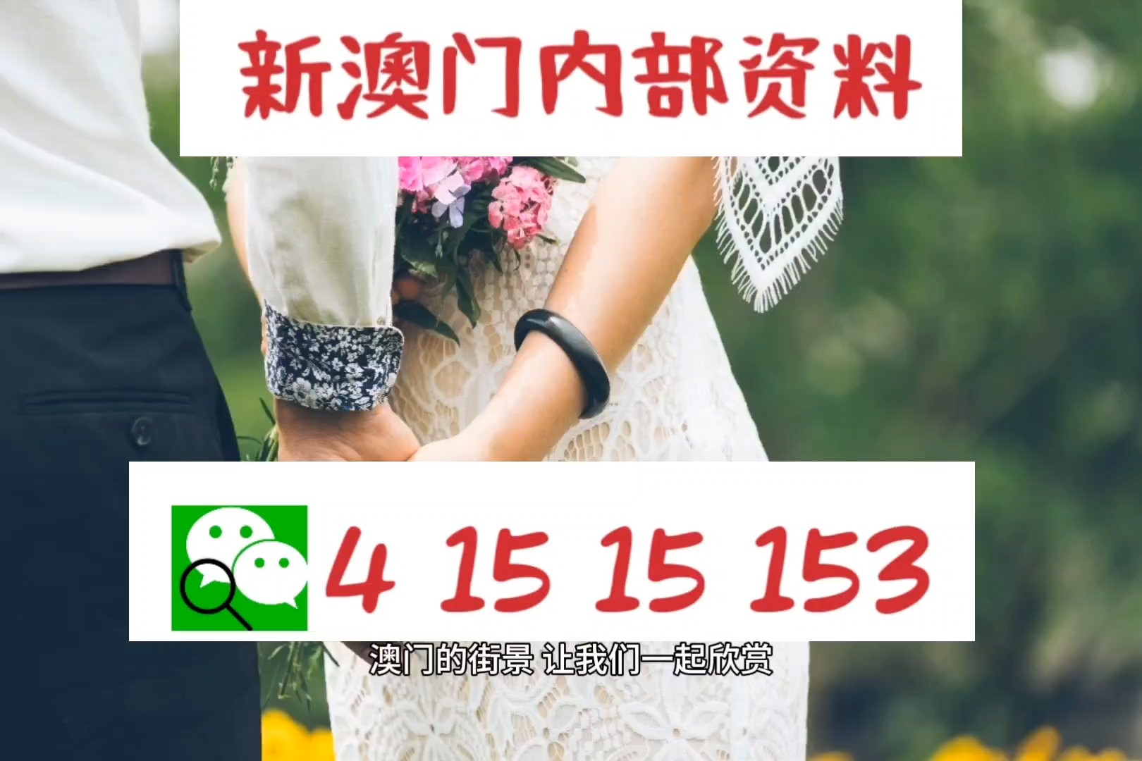 新澳精選資料免費(fèi)提供，助力學(xué)習(xí)成長(zhǎng)新時(shí)代，新澳精選資料助力新時(shí)代學(xué)習(xí)成長(zhǎng)之路