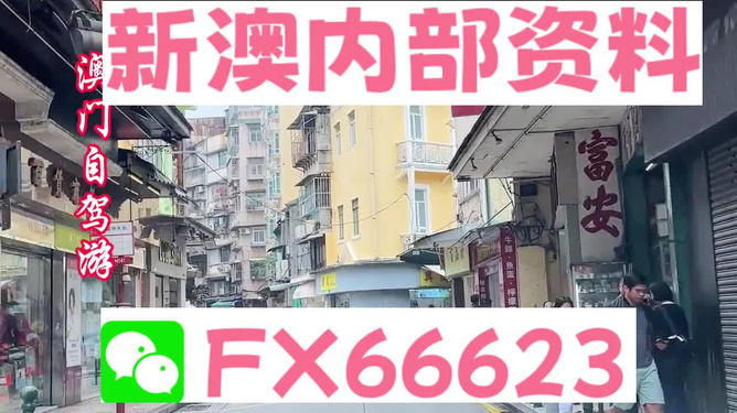 新澳精準(zhǔn)資料免費提供208期，新澳精準(zhǔn)資料第208期免費分享