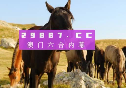 澳門(mén)管家婆免費(fèi)資料的特點(diǎn)畫(huà)肖，澳門(mén)管家婆免費(fèi)資料特點(diǎn)解析，精準(zhǔn)畫(huà)肖服務(wù)