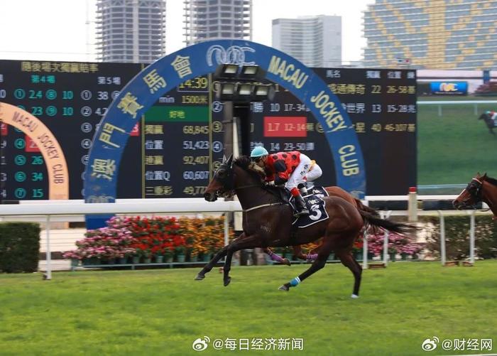 澳門賽馬會(huì)網(wǎng)址大全免費(fèi)，澳門賽馬會(huì)網(wǎng)址大全，免費(fèi)入口集合