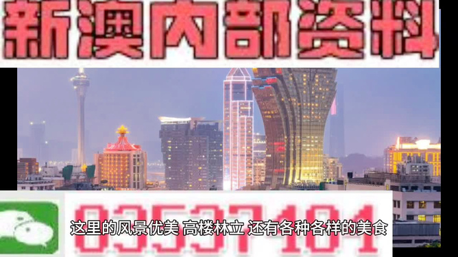 澳門免費精準資料，探索與解析，澳門免費精準資料解析與探索