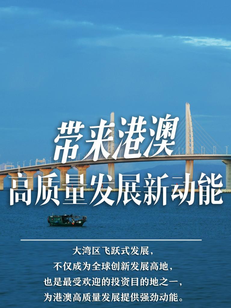 2025新澳門精準(zhǔn)免費(fèi)大全，澳門最新精準(zhǔn)免費(fèi)資料大全（2025版）