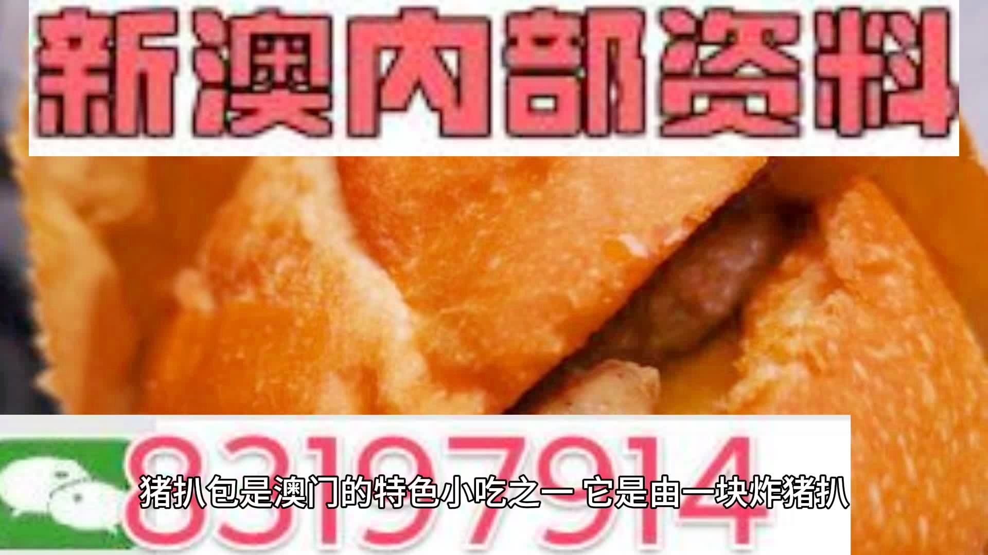 2025新澳精準資料大全，2025新澳精準資料大全手冊