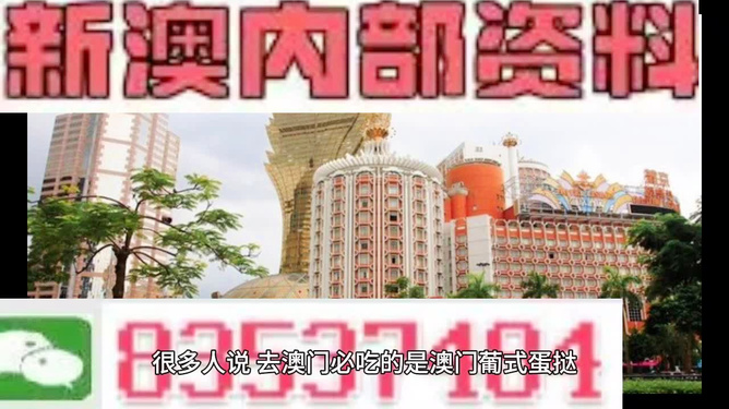 新澳門最精準資料大全，一網打盡最新信息，新澳門最精準資料大全，最新信息一網打盡