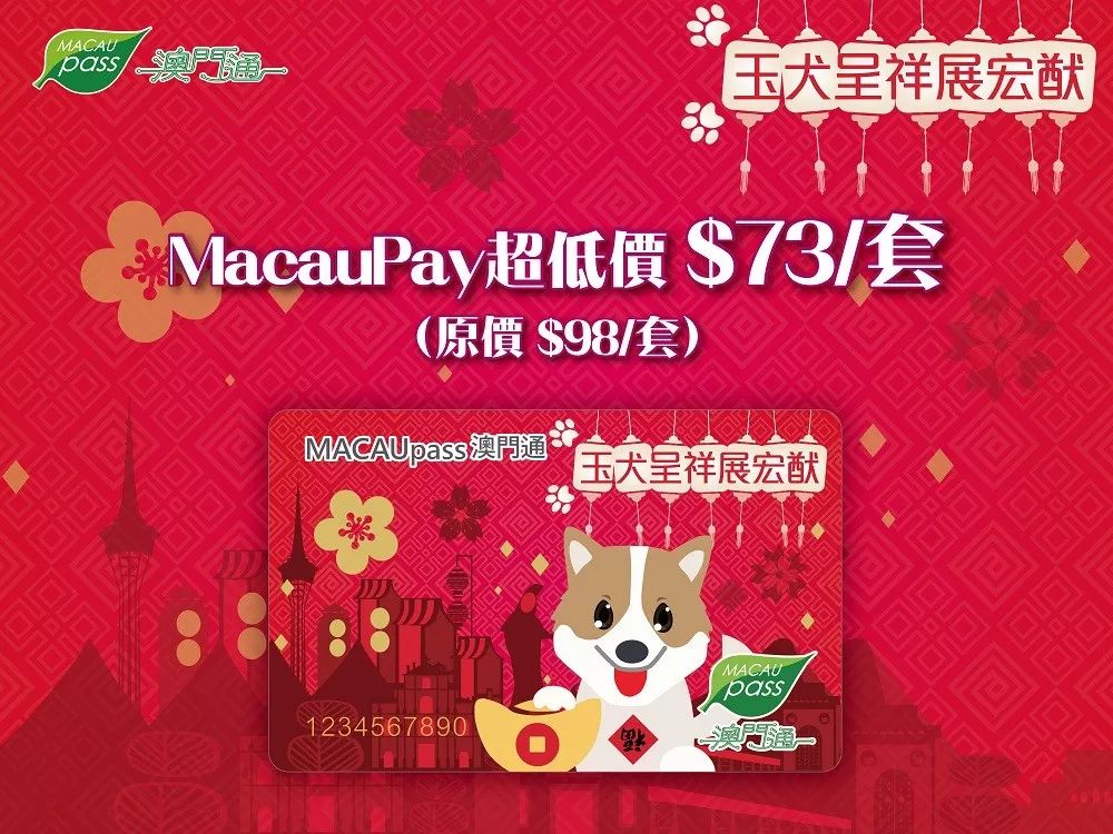 澳門正版資料大全資料生肖卡，澳門正版資料大全，生肖卡全收錄