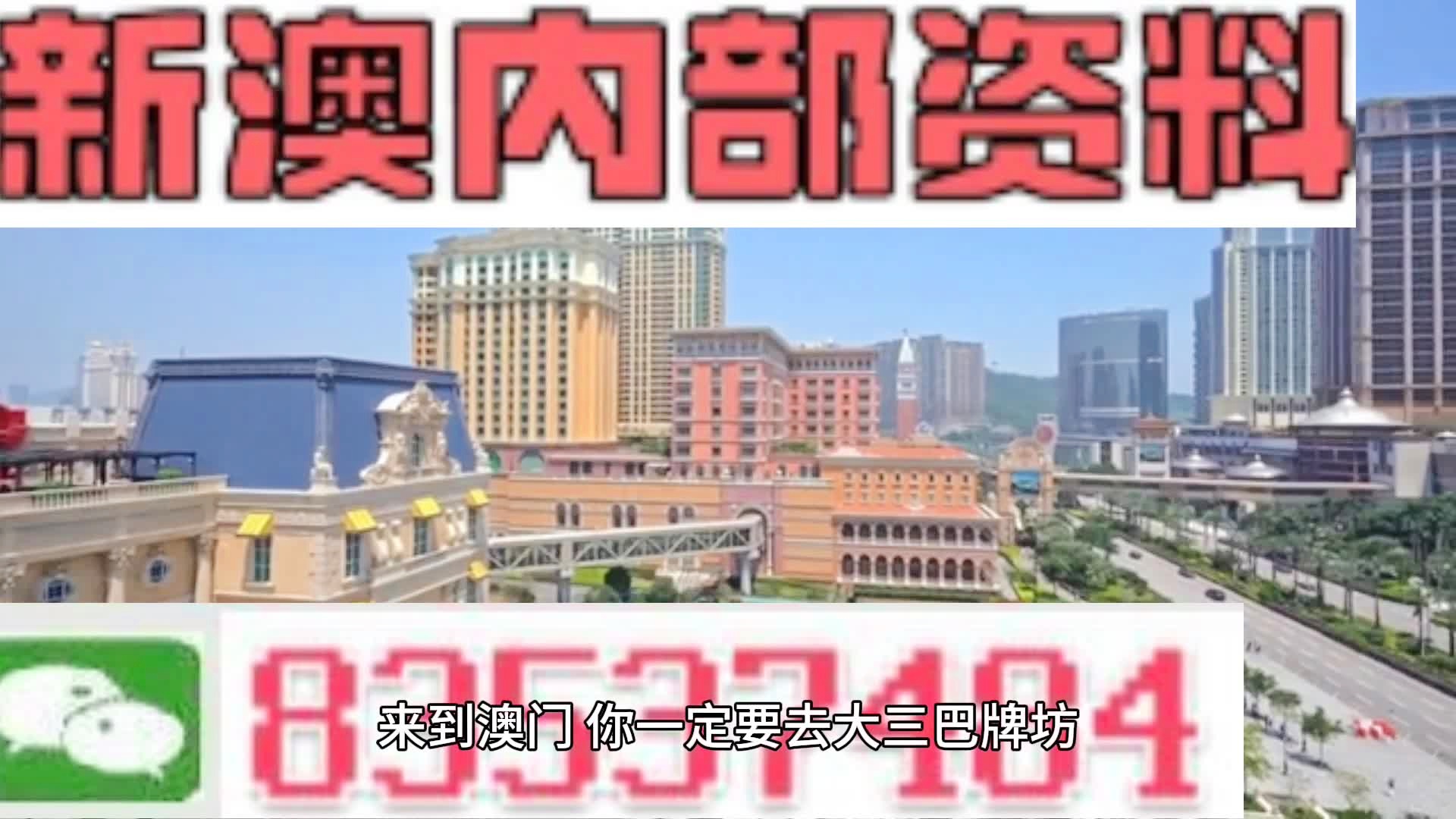 2025新澳精準(zhǔn)資料大全，2025新澳精準(zhǔn)資料大全手冊