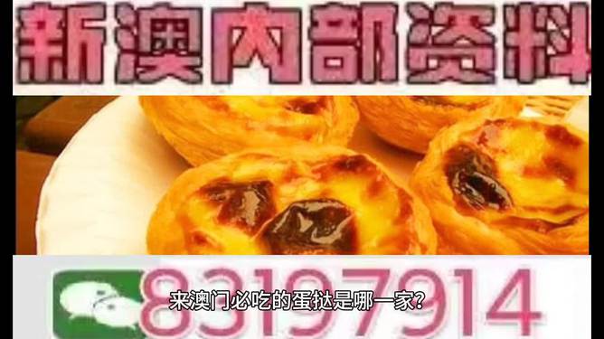 探索未來，聚焦澳門特馬之夜 2025，聚焦澳門特馬之夜 2025，探索未來之旅