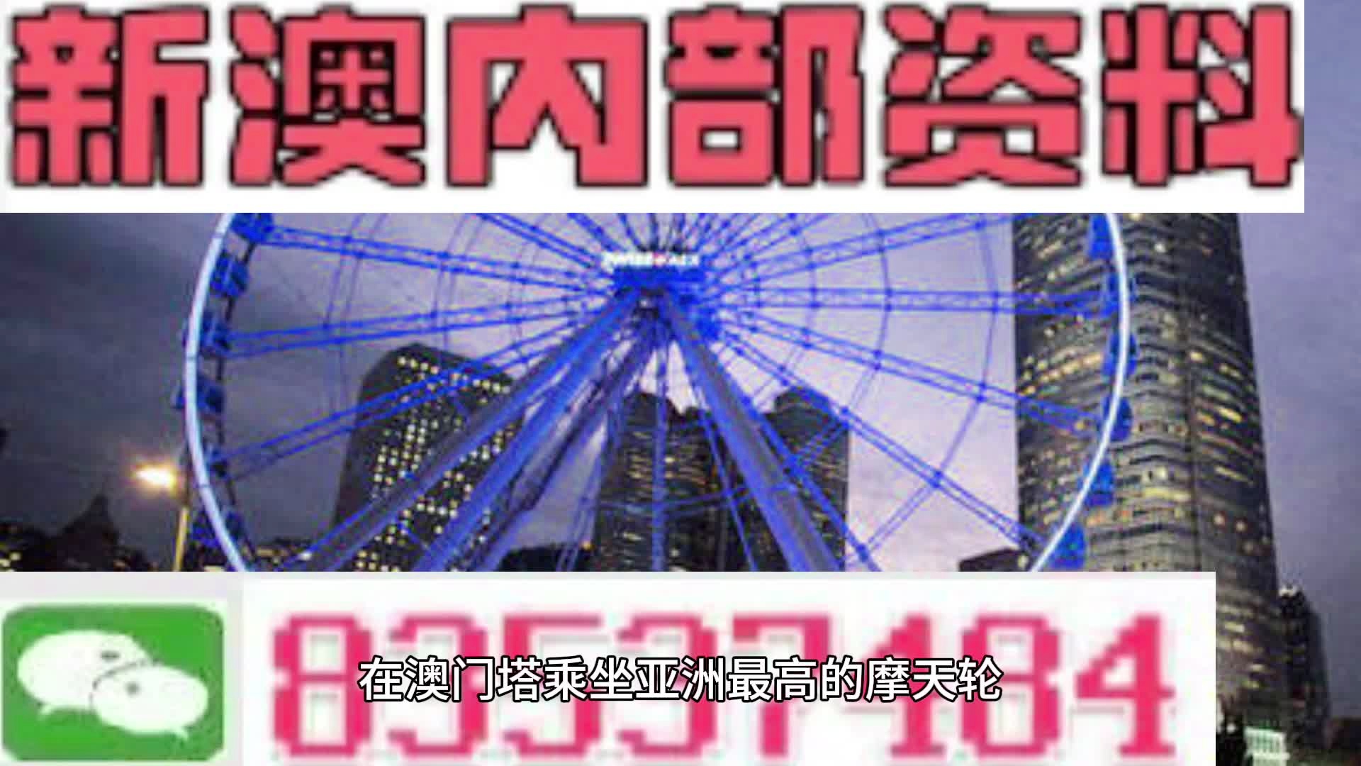新澳門一肖中，揭秘期期準的奧秘，揭秘新澳門一肖中，期期準的奧秘所在