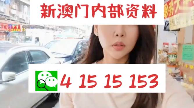 2004新澳門天天開好彩大全大，2004新澳門天天開好彩大全全解析