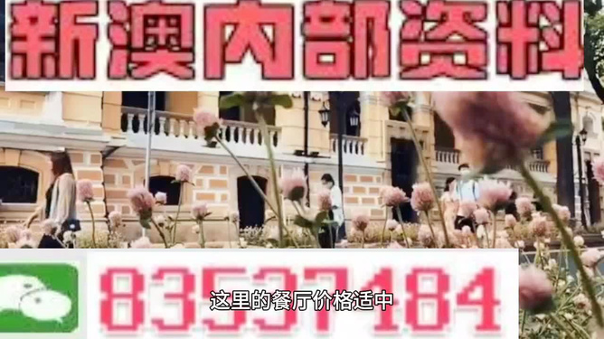 澳門最精準免費資料大全旅游團，探索歷史與現(xiàn)代的完美融合，澳門歷史與現(xiàn)代完美融合之旅，最精準免費資料大全旅游團