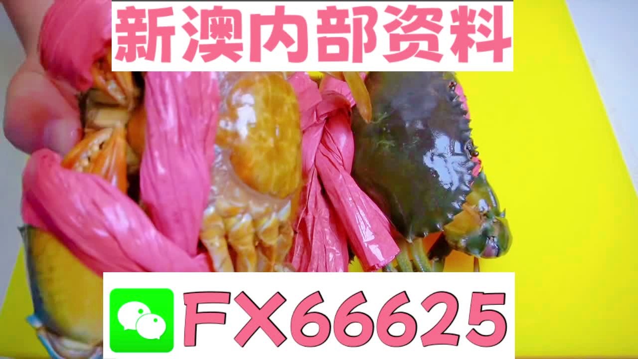 揭秘2025新澳精準資料大全，深度解析與前瞻展望，揭秘2025新澳精準資料大全，深度解析及未來展望