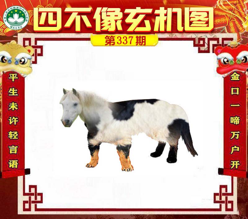 四不像今晚必中一肖4006，四不像今晚預(yù)測必中生肖，一肖4006揭曉！