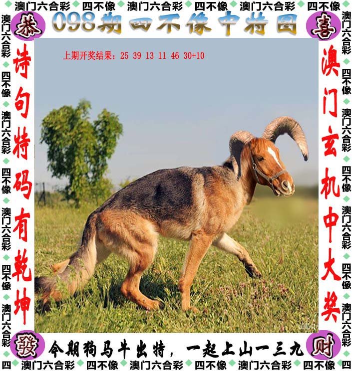 四不像正版資料，四不像正版資料詳解