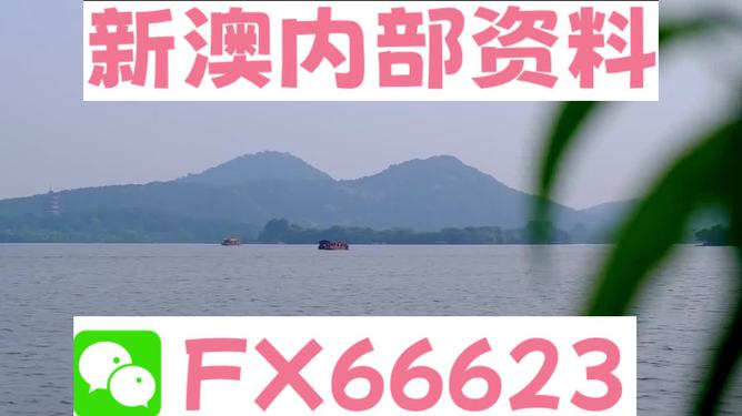 新澳今天最新資料解析，新澳今日最新資料深度解析