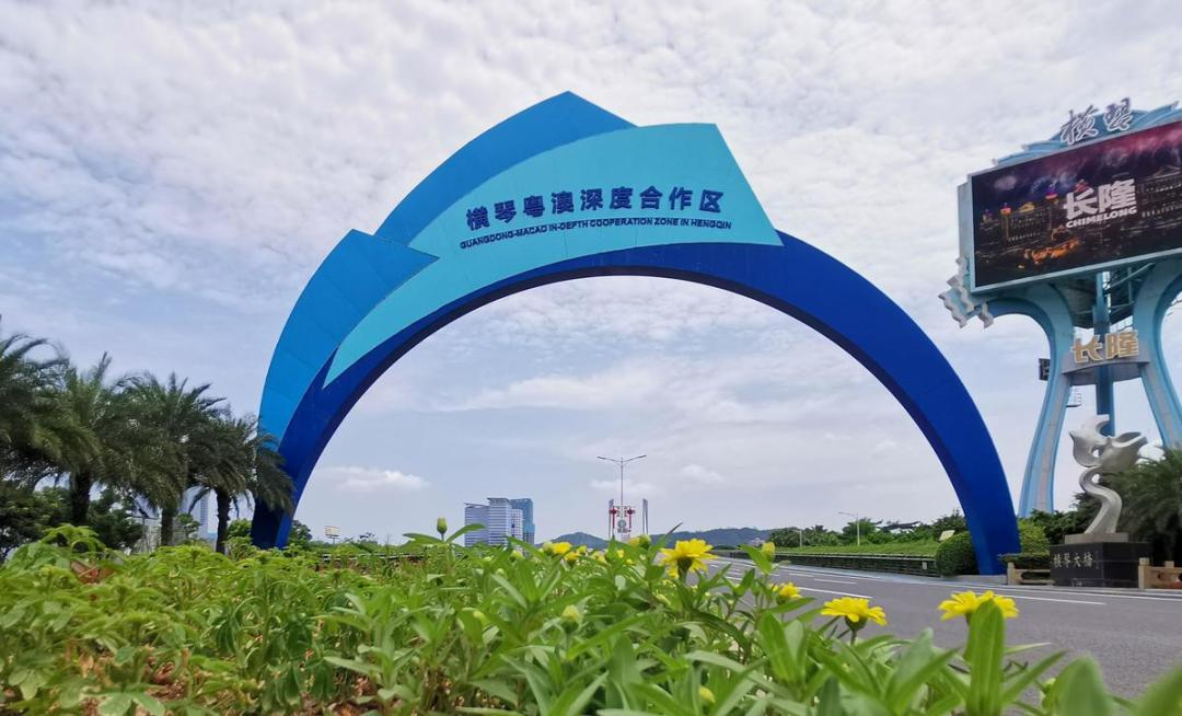 新澳門(mén)正牌掛牌之全篇章，新澳門(mén)正牌掛牌全解析