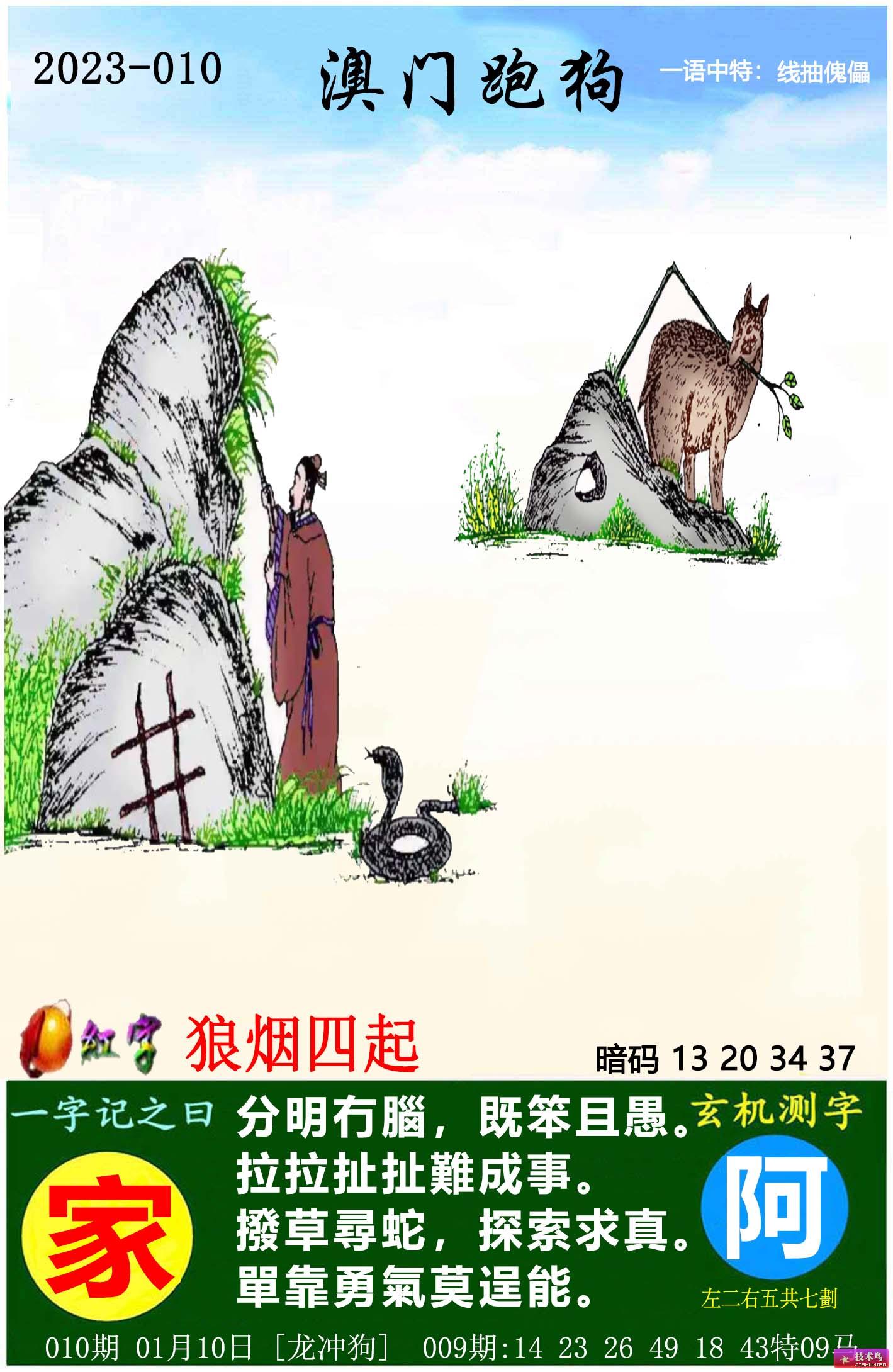 2025正版資料澳門跑狗圖，澳門跑狗圖正版資料解析，預(yù)測(cè)與策略