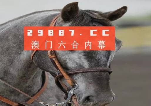 澳門正版一肖一碼，澳門正版一肖一碼精準(zhǔn)預(yù)測