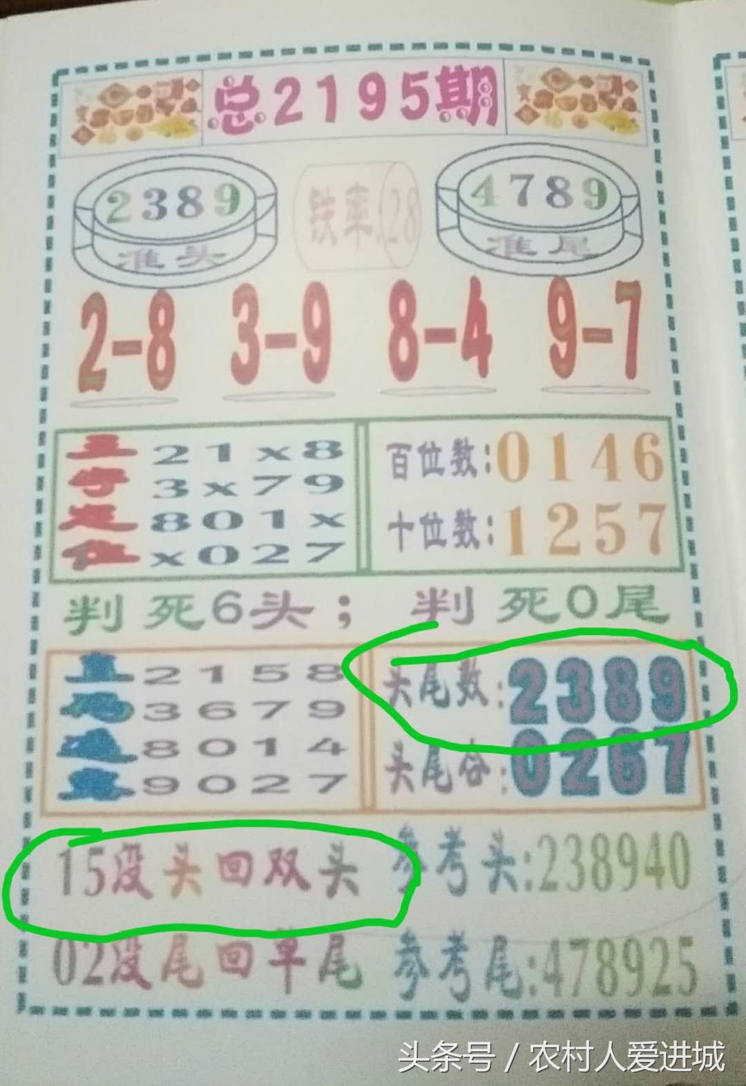 新澳門期期準——探索澳門的最新魅力，澳門最新魅力探索，新澳門期期準風采展現(xiàn)