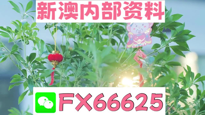 新澳精準(zhǔn)資料最新版大揭秘，免費(fèi)提供的強(qiáng)大資源，新澳精準(zhǔn)資料最新版揭秘，強(qiáng)大資源免費(fèi)開放